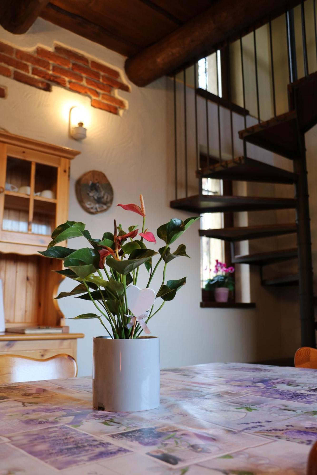 Holiday home Le Primule *