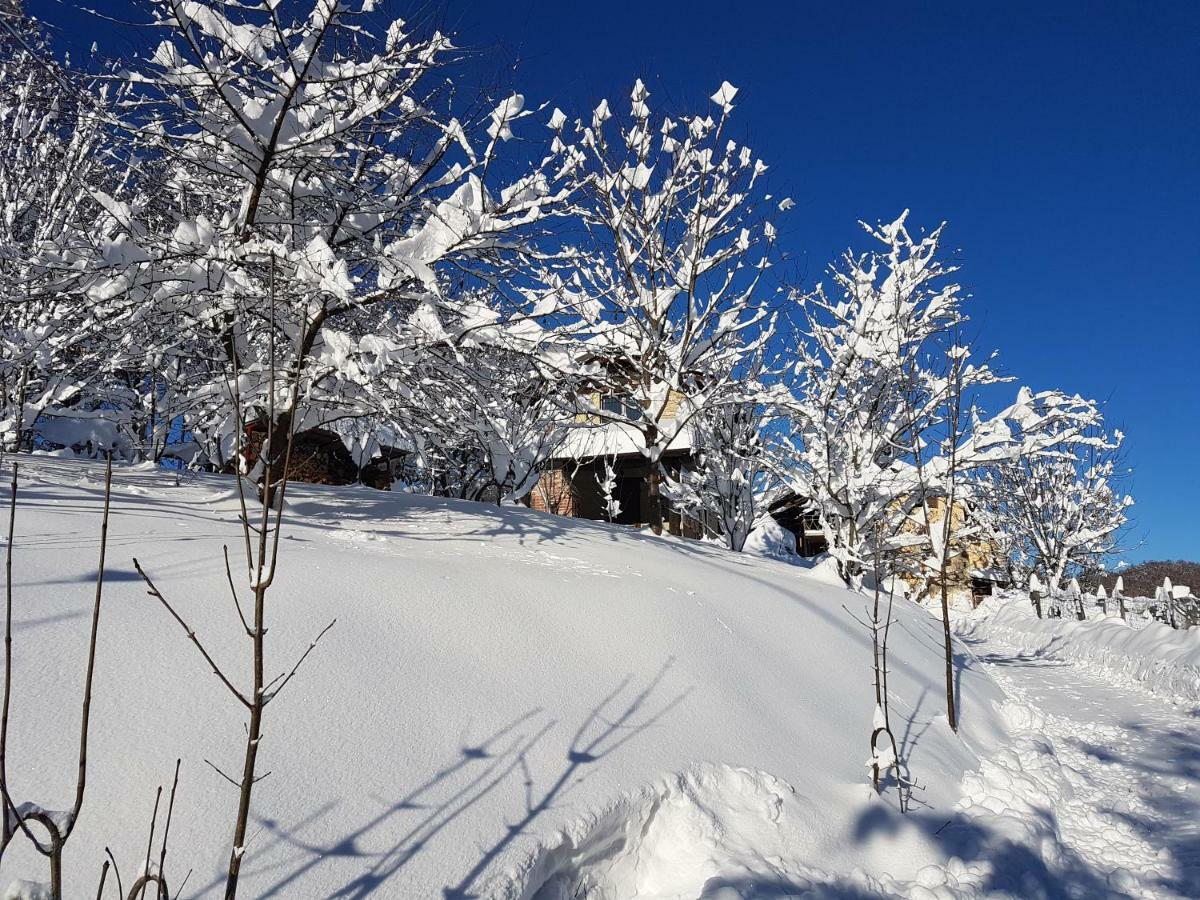 Holiday home Le Primule